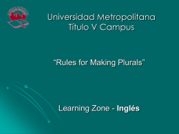 Rules for making plurals.