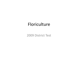 Floriculture - Mid