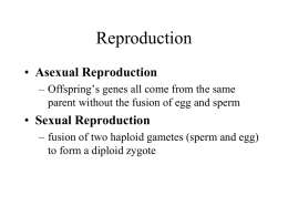 Reproduction