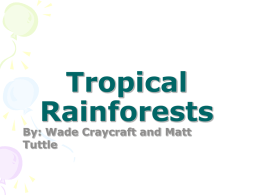 Tropical Rainforests - Montgomery County Schools