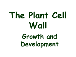 The Plant Cell wall
