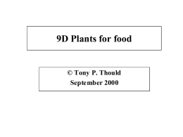 with food / energy. Plants are able to make their own food by