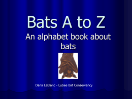 Bats A to Z