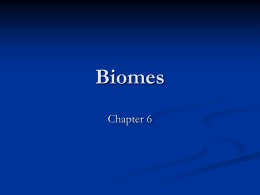 Biomes - MRMWILLIS