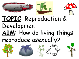 What are the types of asexual reproduction?
