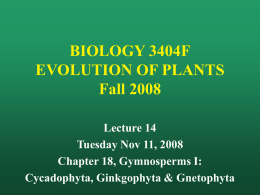 Lecture 1 Thursday Jan. 4, 2001