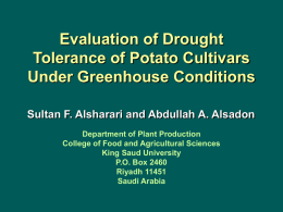 Evaluation of Drought Tolerance of Potato Cultivars Under