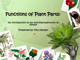 Functions of Plant Parts