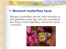 monarch butterflies go through four generations each year