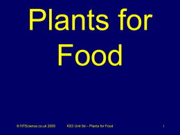 Plants for food science quiz
