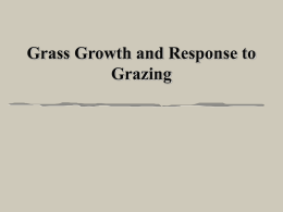 Grass Growth and Response to Grazing