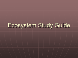 Ecosystem Study Guide