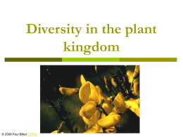 Diversity in the plant kingdom