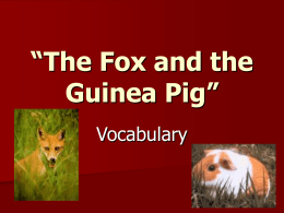 The Fox and the Guinea Pig