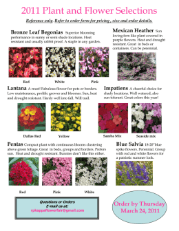 flower fair catalog