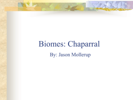 Biomes: Chaparral