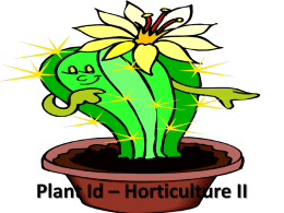 Hort II 6.0 Plant ID
