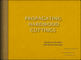 Propagating Hardwood Cuttings