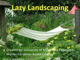 Lazy Landscaping - University of Minnesota Extension