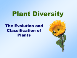 Plant Divisions