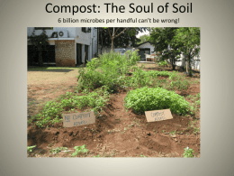 Compost: The Soul of Soil