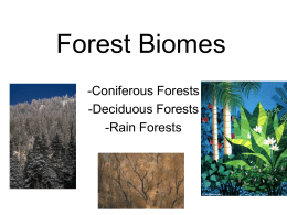 Forest Biomes - s3.amazonaws.com