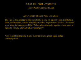 The Origin of Land Plants
