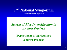 System Of Rice Intensification in Andhra Pradesh - SRI