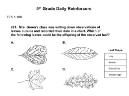 5 th Grade Daily Reinforcers