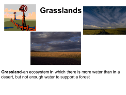 Grasslands - HPE3rdGrade