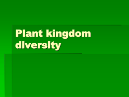 Plant Diversity Powerpoint