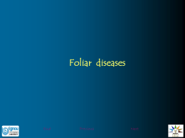 foliar diseases