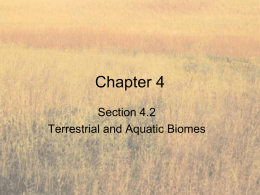 Terrestrial and Aquatic Biomes