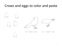 Crows and eggs to color and paste