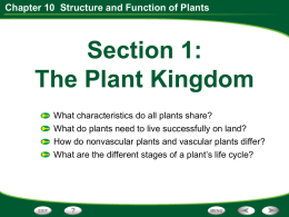 Chapter 10 Structure and Function of Plants What Is a Plant?