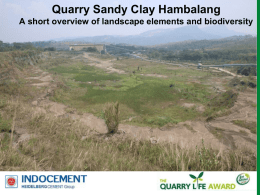 Wetlands Area of Quarry Sandyclay Hambalang