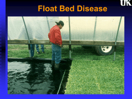 Float Bed Disease
