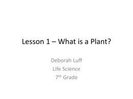 Lesson 1 – What is a Plant?