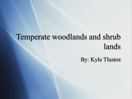Temperate woodlands and shrub lands