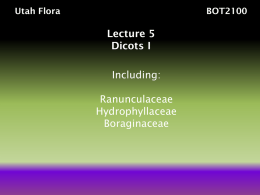 Lecture5 - Utah Valley University Herbarium