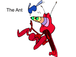 Ant - FIT Ministries