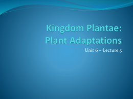 Kingdom Plantae - Fulton County Schools