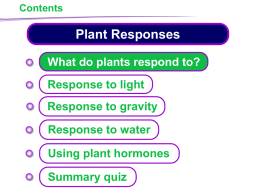 KS4 Plant Responses