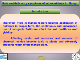 secodary nutrient in mango