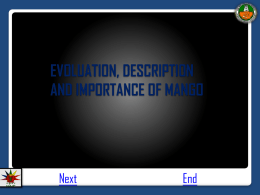 evaluation DESCRIPTION AND IMPORTANCE OF MANGO