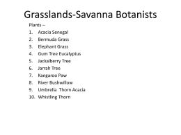 Biomes Grassland Savanna Botanist[1]