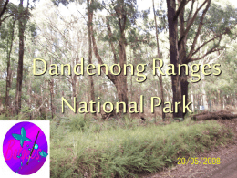 dandenong ranges SAC balqees