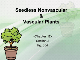 Importance of Seedless Vascular Plants