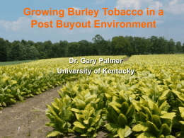 TSNA Levels in Burley Tobacco Fertilized with different Sources of