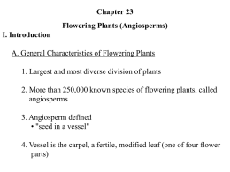 I. Introduction A. General Characteristics of Flowering Plants
